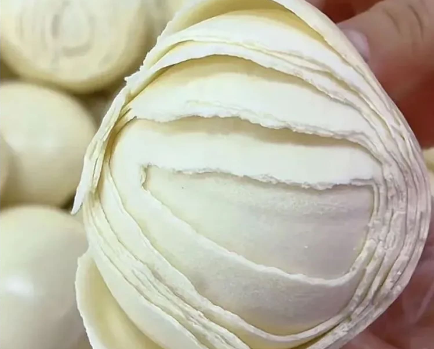 1754637547635707.jpg iScreen Shoter - Safari瀏覽器 - 250808151549.jpg